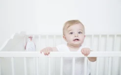 Zazu Zoe De Pinguin Grijs 3 In 1 Muziekdoosje ZA-ZOE-01 -Winkel Voor Babyreisartikelen 30685085644 974ee59458 o