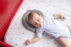 Babymoov Lovenest Premium Smokey Ergonomisch Hoofdkussentje A050224 -Winkel Voor Babyreisartikelen Babymoov Lovenest Premium Smokey Kussentje A050217 4