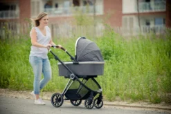 Ding Fenix Grey/Silver Kinderwagen DI-191703 -Winkel Voor Babyreisartikelen ding fenix grey kinderwagen