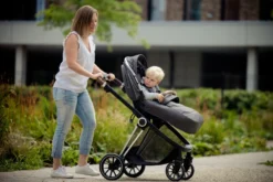 Ding Fenix Grey/Silver Kinderwagen DI-191703 -Winkel Voor Babyreisartikelen ding fenix grey silver kinderwagen