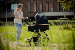 Ding Fenix Black/Rose Kinderwagen DI-191702 -Winkel Voor Babyreisartikelen ding fenix rose kinderwagen