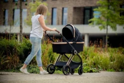 Ding Fenix Black/Rose Kinderwagen DI-191702 -Winkel Voor Babyreisartikelen ding fenix rose kinderwagen 1